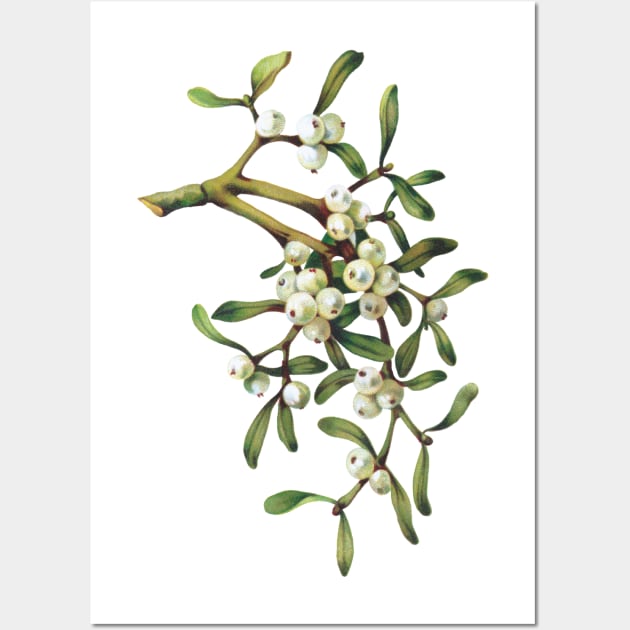 Mistletoe Wall Art by NEILBAYLIS